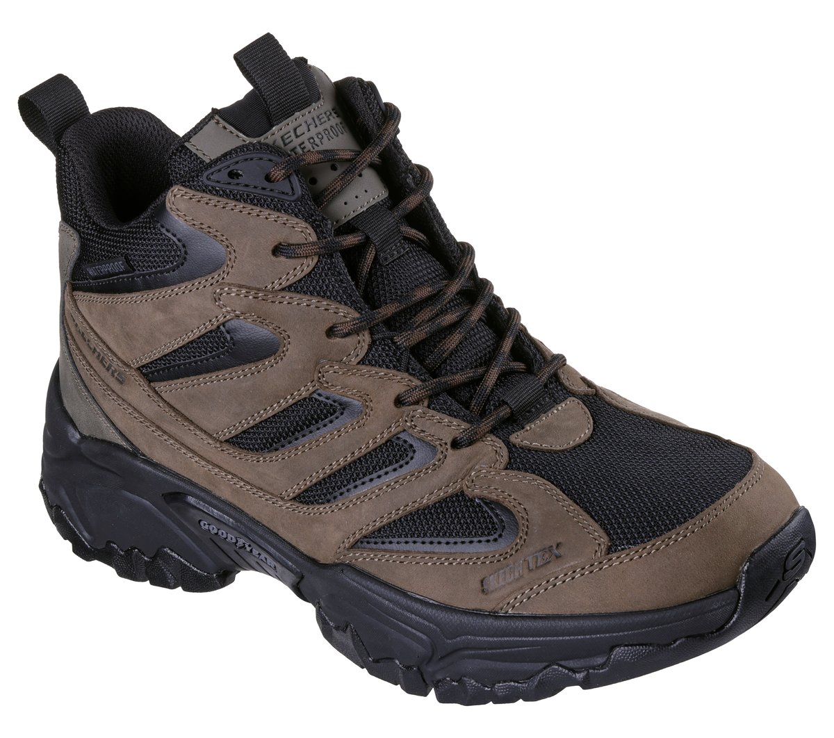 205630_DKTP_PROFILE_01-1